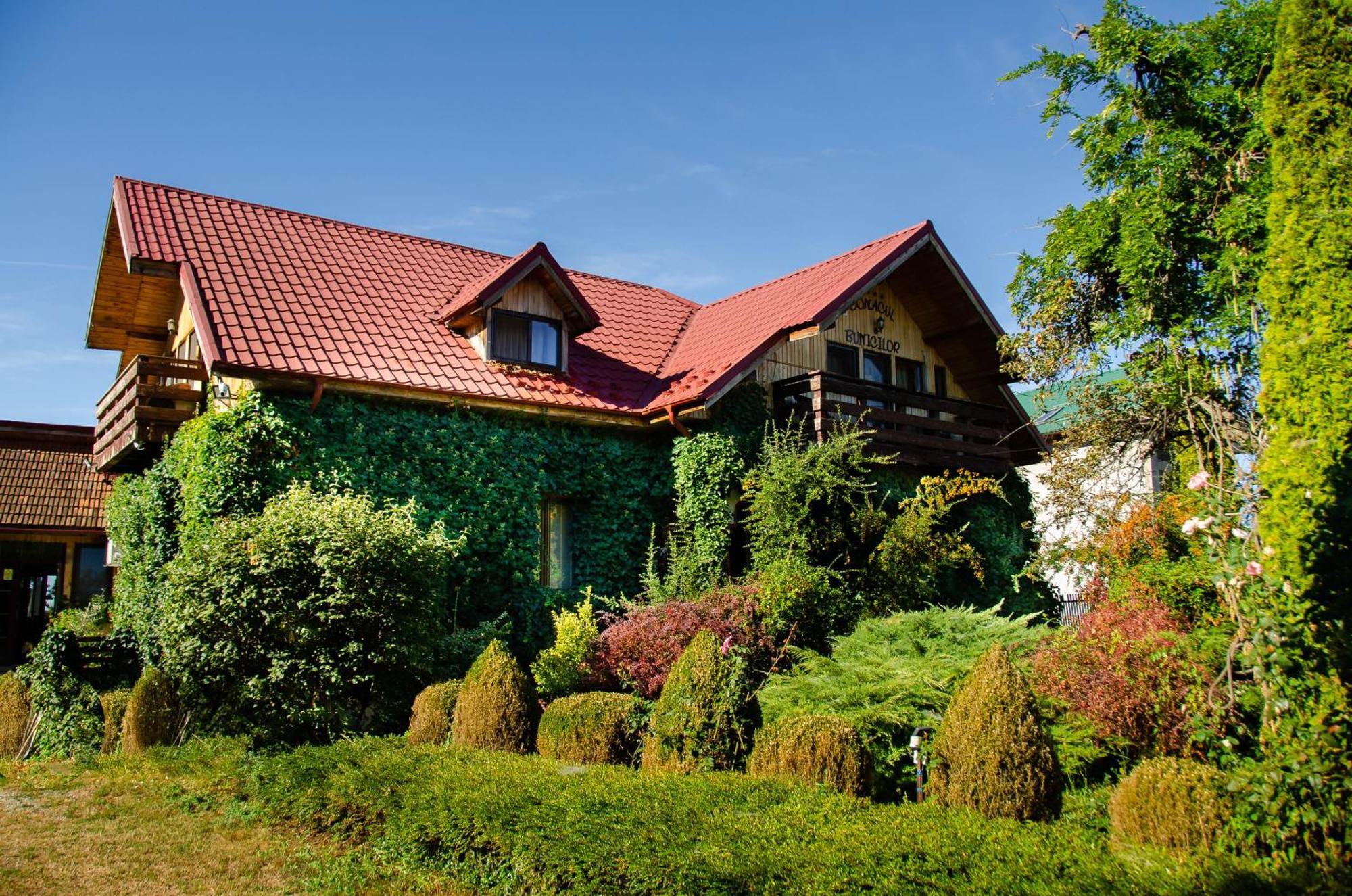 Hotel Conacul Bunicilor Novaci Exterior foto